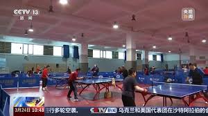 必一·体育(B-Sports) 未来方舟乒乓球台